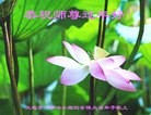 ֹ,󷨵ӹףʦ(20)
