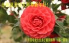 ֹ,ϴ󷨵ӹףʦ(26)
