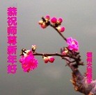 ֹ,󷨵ӹףʦ(54)
