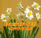 ֹ,󷨵ӹףʦ(54)
