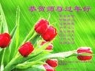ֹ,󷨵ӹףʦ(25)
