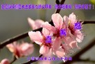 ֹ,󷨵ӹףʦ(26)
