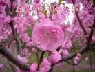 ֹ,󷨵ӹףʦ(28)
