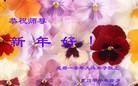 ֹ,ɶ󷨵ӹףʦ(24)
