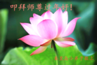 ֹ,ػʵ󷨵ӹףʦ(25)

