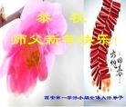 ֹ,󷨵ӹףʦ(24)
