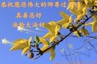ֹ,ϴ󷨵ӹףʦ(24)

