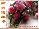 ֹ,ϴ󷨵ӹףʦ(27)
