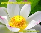 ֹ,󷨵ӹףʦ(28)

