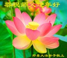 ֹ,ൺ󷨵ӹףʦ(31)
