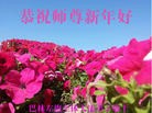 ֹ,ɹŴ󷨵ӹףʦ(29)
