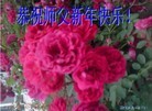 ֹ,󷨵ӹףʦ(24)
