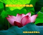 ֹ,ʡ󷨵ӹףʦԪ(21)
