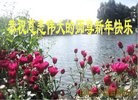 ֹ,ϴ󷨵ӹףʦԪ(19)
