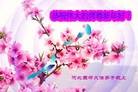 ֹ,ӱ󷨵ӹףʦԪ(18)
