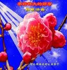 Published on 12/31/2014 ���ֹ�,���󷨵��ӹ�ףʦ��Ԫ������(26��)
