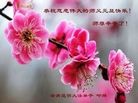 ֹ,ϴ󷨵ӹףʦԪ(19)
