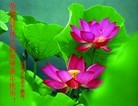 ֹ,ϴ󷨵ӹףʦ(29)
