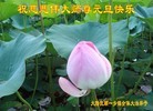 ֹ,󷨵ӹףʦԪ(26)
