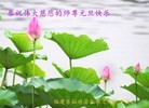 ֹ,󷨵ӹףʦԪ(25)
