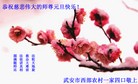 ֹ,󷨵ӹףʦԪ(26)
