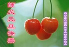 ֹ,ϵͳ󷨵ӹףʦԪ(20)
