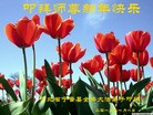 ֹ,ӱ󷨵ӹףʦԪ(24)
