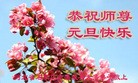 ֹ,ʯׯ󷨵ӹףʦԪ(22)
