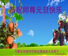 ֹ,ɹŴ󷨵ӹףʦԪ(30)
