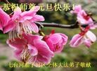 ֹ,󷨵ӹףʦԪ(26)

