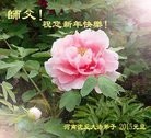 ֹ,ϴ󷨵ӹףʦԪ(28)
