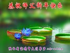 ֹ,󷨵ӹףʦԪ(24)
