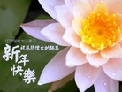 ֹ,󷨵ӹףʦԪ(25)
