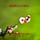 ֹ,մ󷨵ӹףʦԪ(25)
