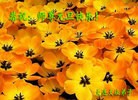 ֹ,󷨵ӹףʦԪ(28)
