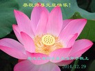 ֹ,󷨵ӹףʦԪ(29)
