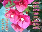 ֹ,󷨵ӹףʦԪ(27)
