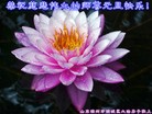 ֹ,½󷨵ӹףʦԪ֣88
