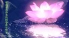 ֹ,ľ˹󷨵ӹףʦԪ(24)
