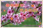 ֹ,󷨵ӹףʦԪ(25)

