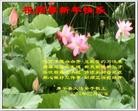 ֹ,½󷨵ӹףʦԪ(108)
