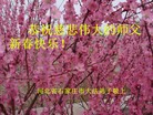 ֹ,½󷨵ӹףʦԪ(108)
