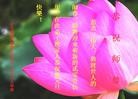 ֹ,½󷨵ӹףʦԪ(108)

