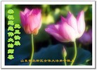 ֹ,½󷨵ӹףʦԪ(64)
