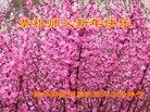 ֹ,½󷨵ӹףʦԪ(52)
