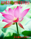 ֹ,½󷨵ӹףʦԪ(51)
