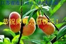 ֹ,½󷨵ӹףʦԪ(51)
