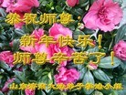 ֹ,ϴ󷨵ӹףʦ(25)
