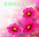 Published on 1/30/2014 ���ֹ�,��½�󷨵��ӹ�ףʦ���������(27��)
