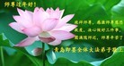 ֹ,ൺ󷨵ӹףʦ(29)
